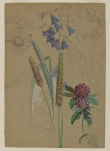 Bloemenstudie, 1860 door William Trost Richards